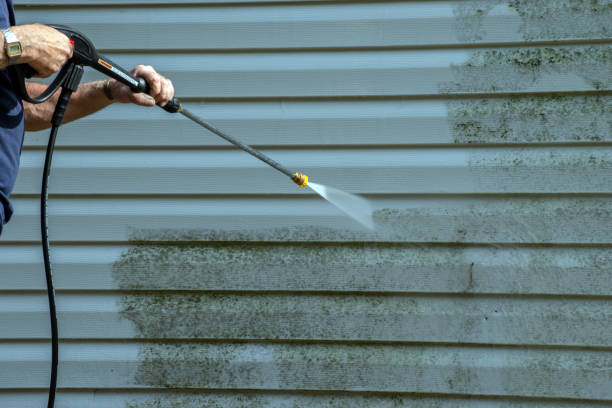 Best Pressure Washing Near Me  in Anchor Point, AK