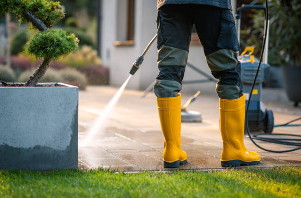 Best Pressure Washing Services Near Me  in Anchor Point, AK